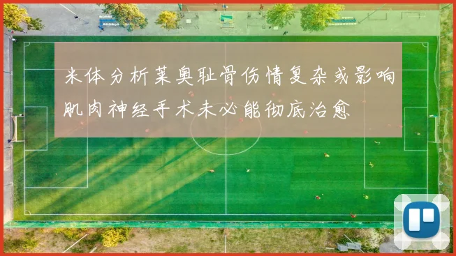 米体分析莱奥耻骨伤情复杂或影响肌肉神经手术未必能彻底治愈